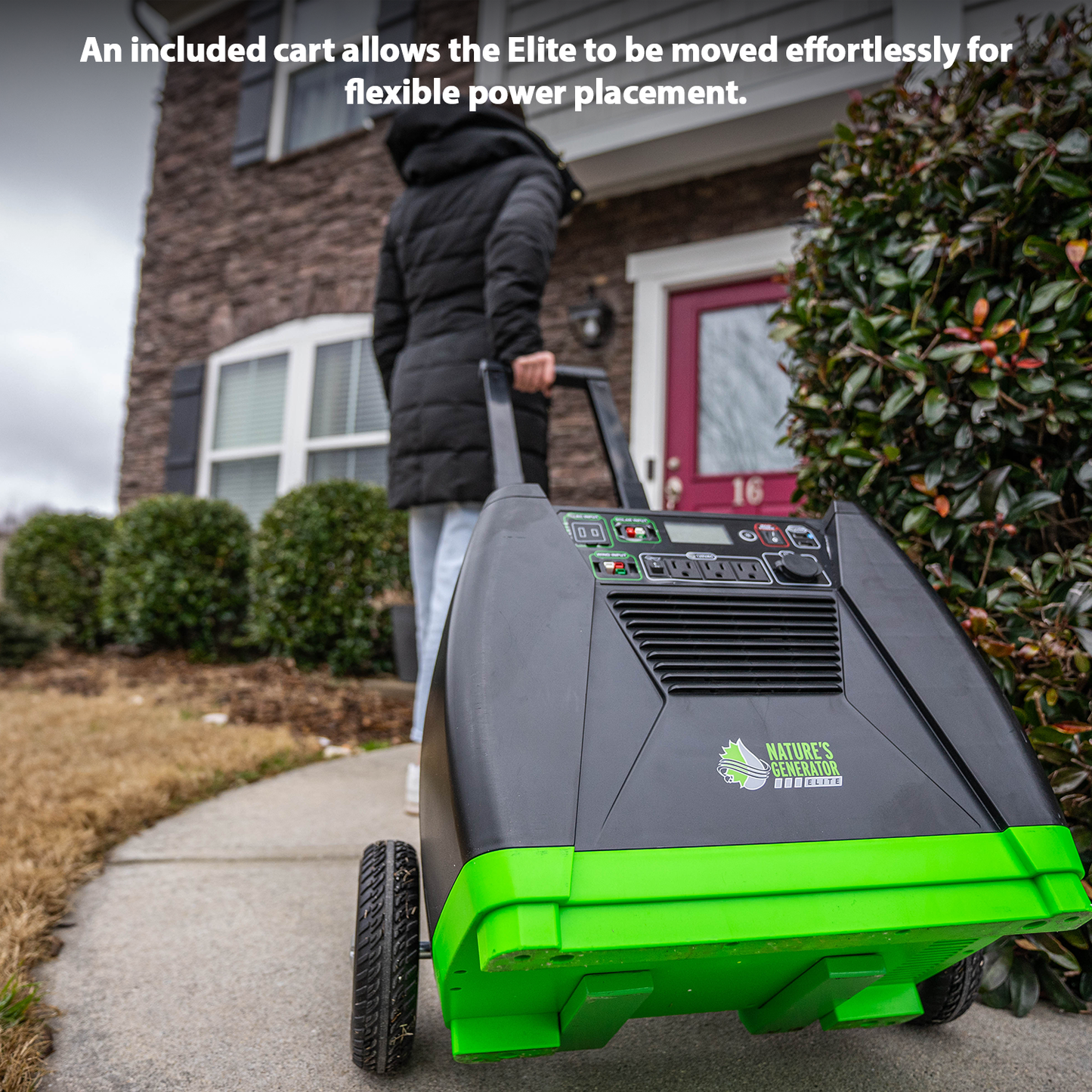 Nature's Generator Elite - Gold System - Hazli Collection 