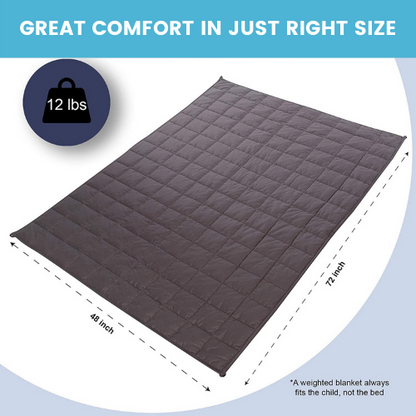 Super Soft 12 lbs Weighted Blanket & Removable Cover - 48" x 72" Comfort Adults Weighted Blankets Twin Size - Weighted Blanket Adult - Comfort Heavy Blanket - Hazli Collection 